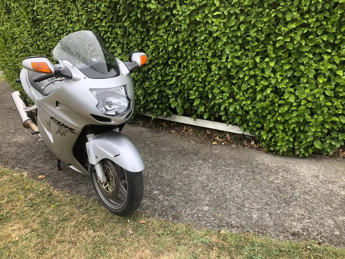 Honda blackbird 2004 - Image 4
