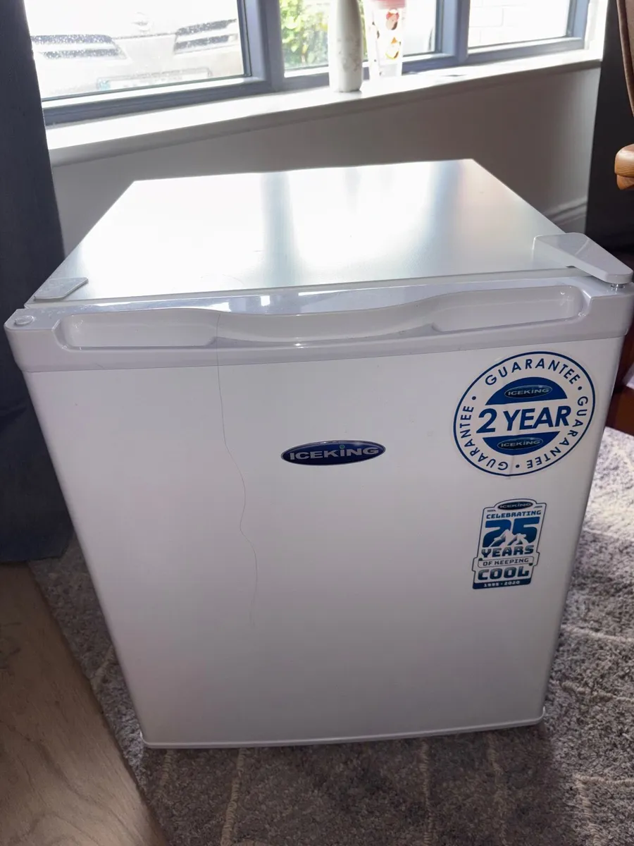 Mini Fridge - Image 1