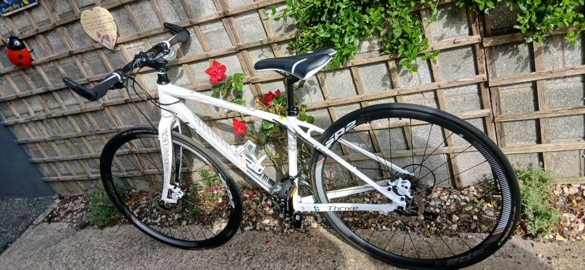 Ladies hybride giant thrive bike - Image 1