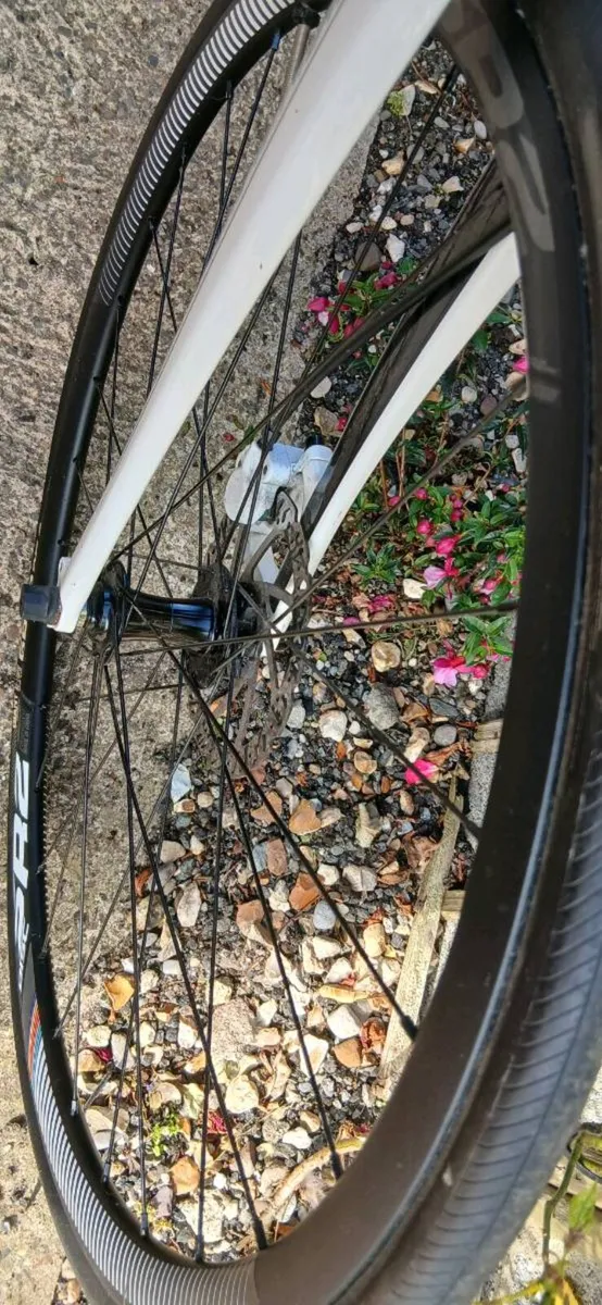 Ladies hybride giant thrive bike - Image 4