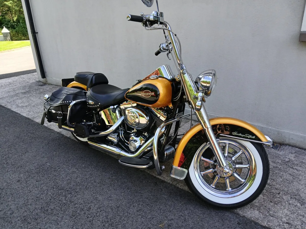 HARLEY heritage softail - Image 2