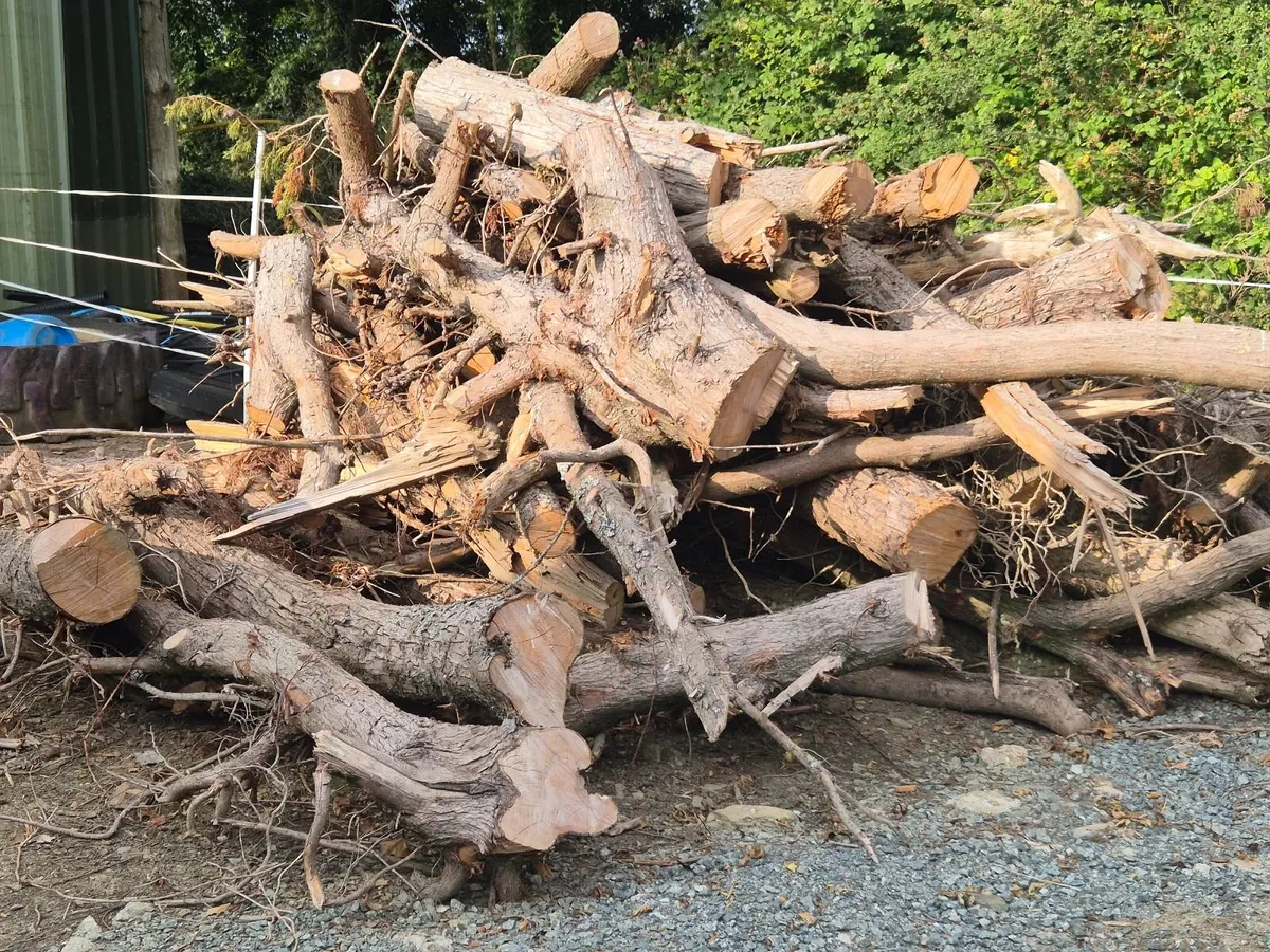 Firewood