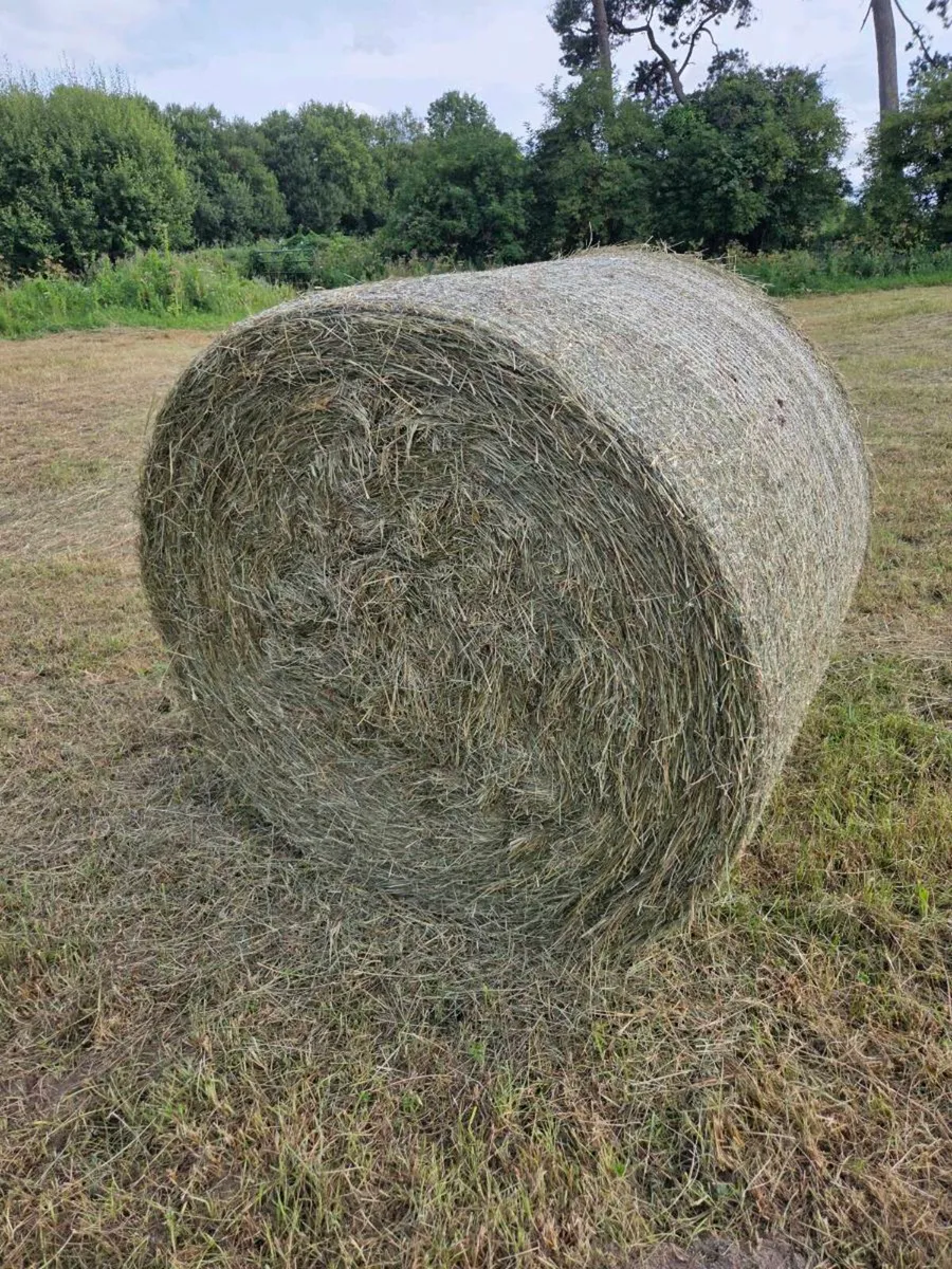 Organic hay round bales