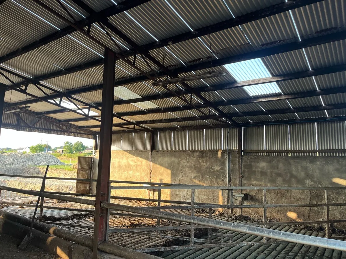Cattle shed - Image 4
