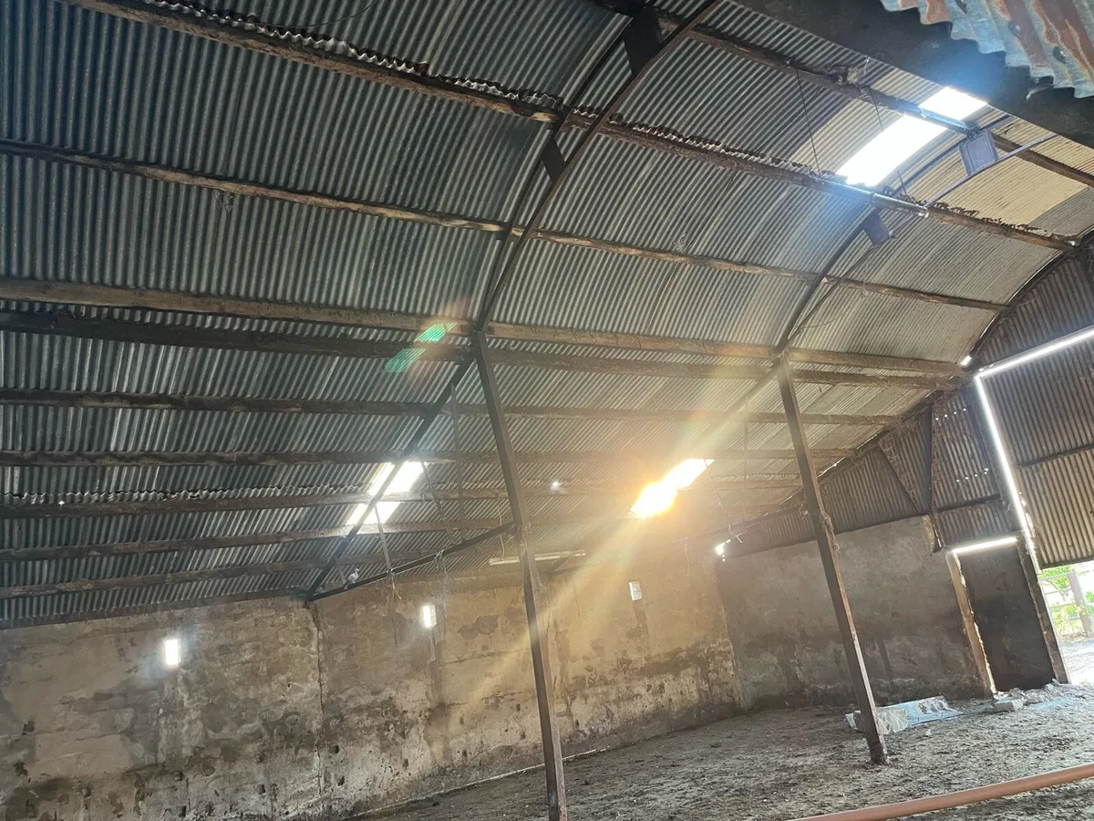 Cattle shed - Image 3