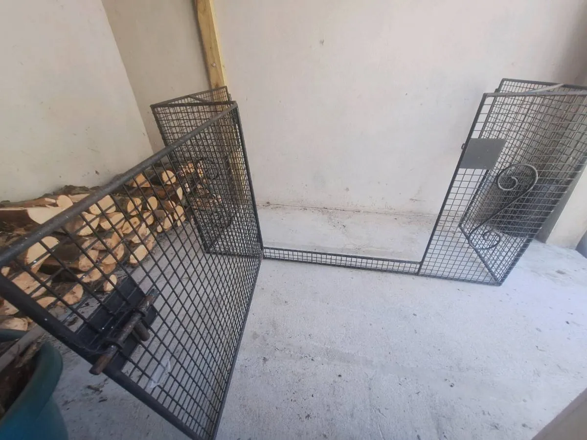 Fire Guard - Image 3