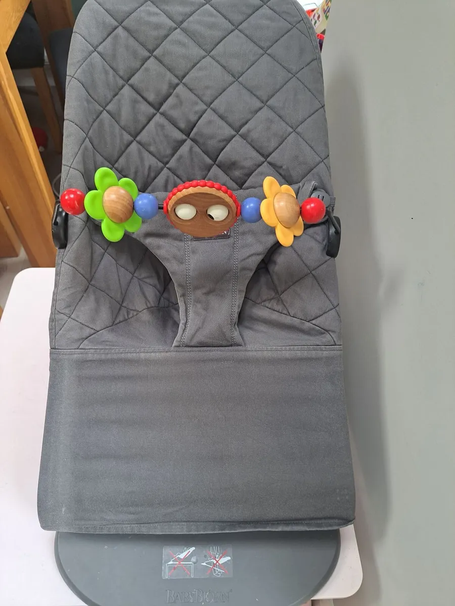 Baby Bjorn Bouncer