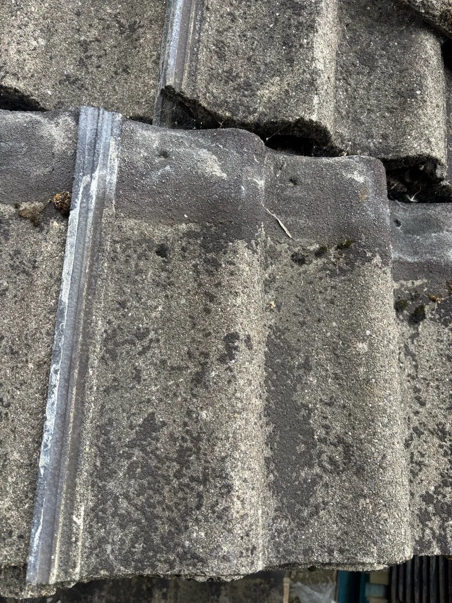 Roofing slates and tiles - Image 2