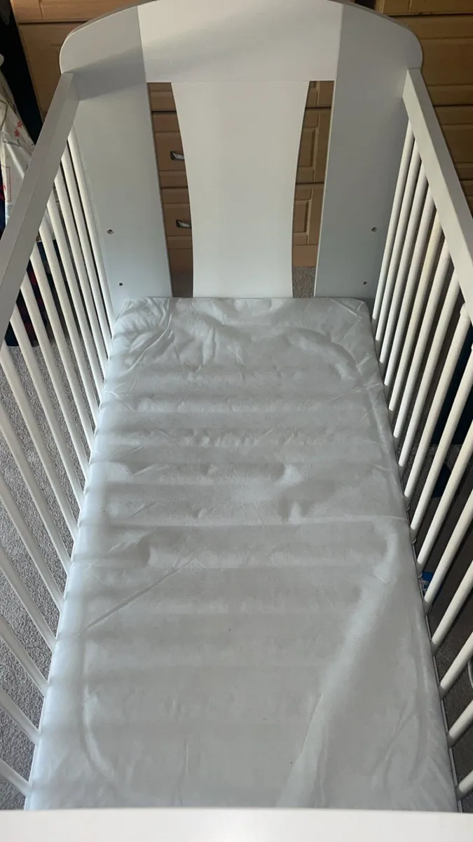 Cot - Image 2