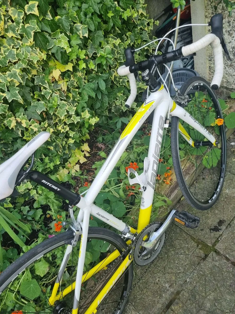 Womans road bike - Image 3