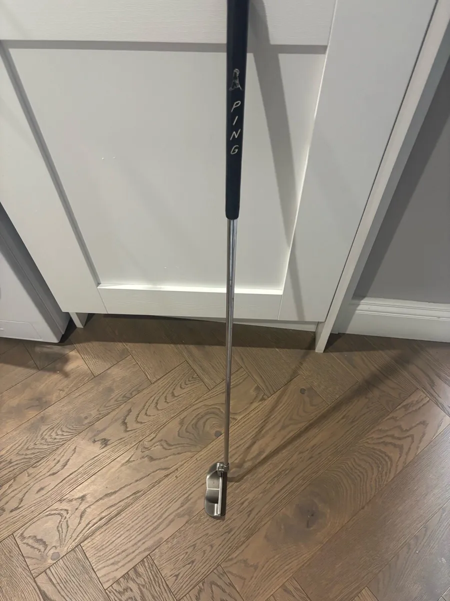Golf putter - Image 2