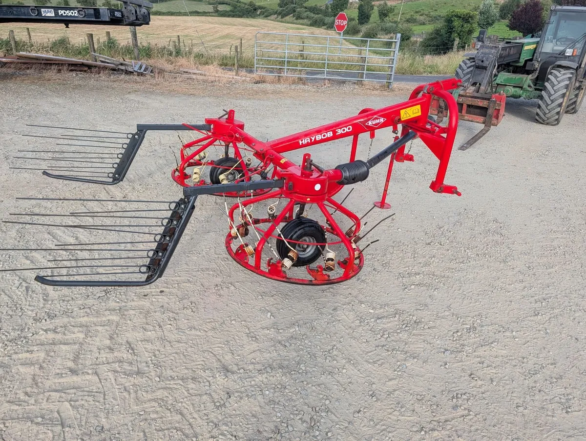 Kuhn 300 haybob - Image 3