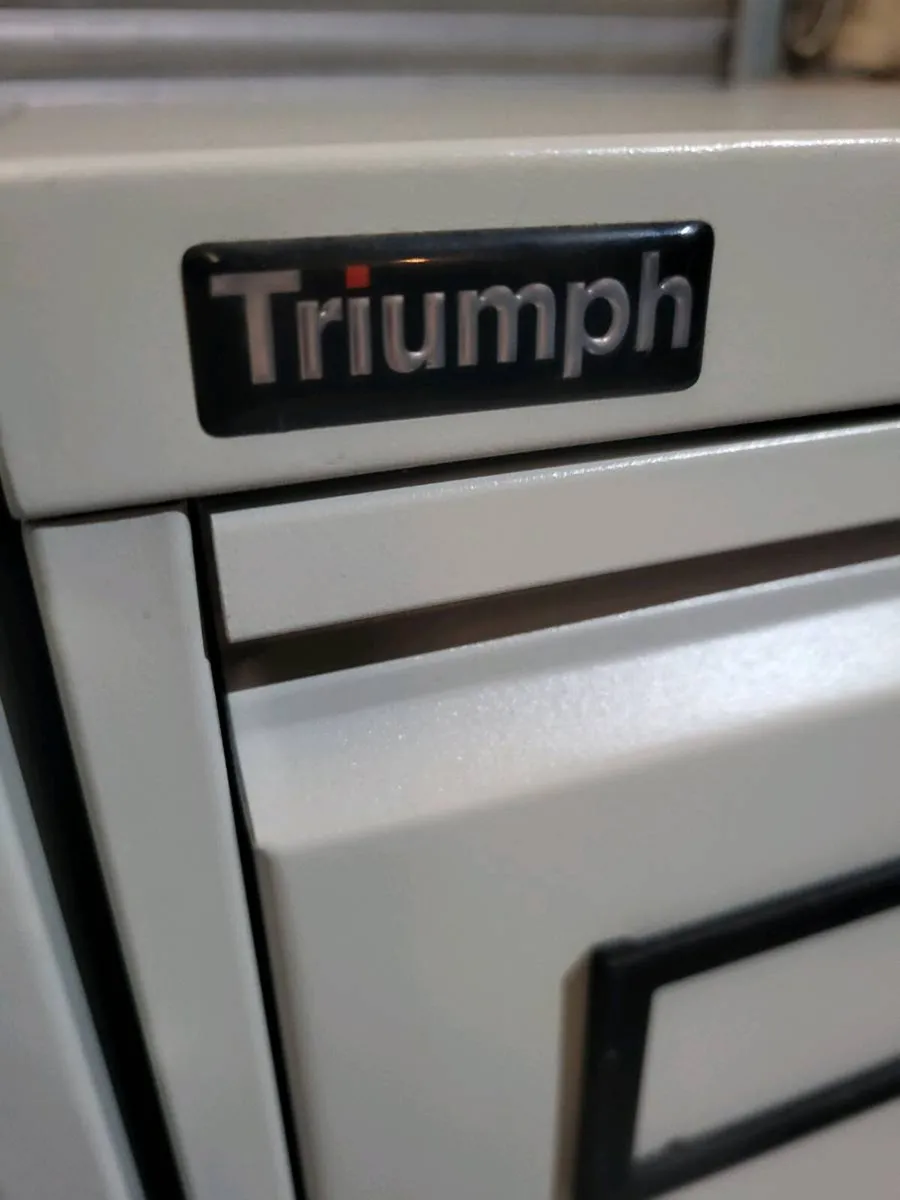 Triumph Filing Cabinets With Keys. Excellent Cond. - Image 4