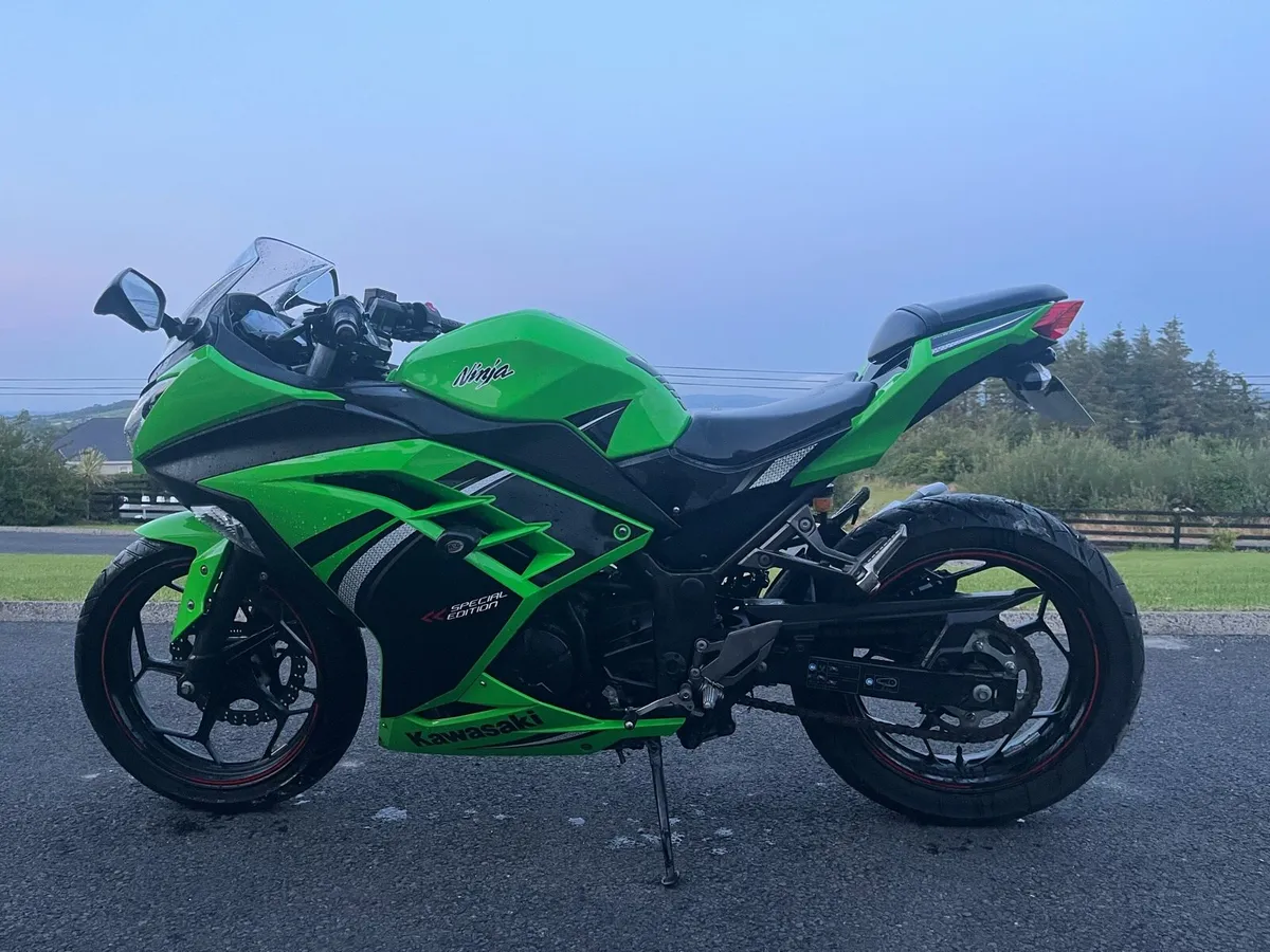 2014 Kawasaki Ninja 300 Special Edition - Image 1
