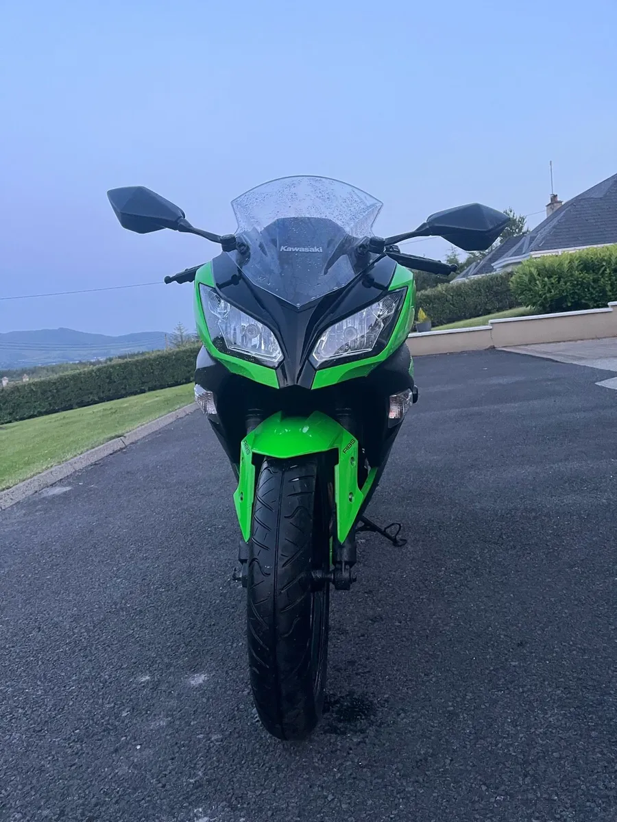 2014 Kawasaki Ninja 300 Special Edition - Image 2