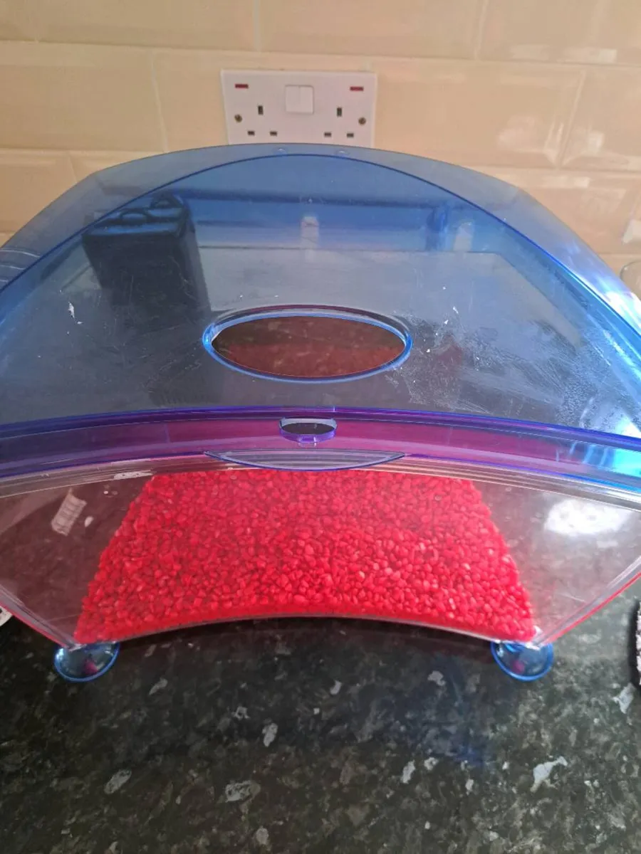 Fish Tank - Image 1