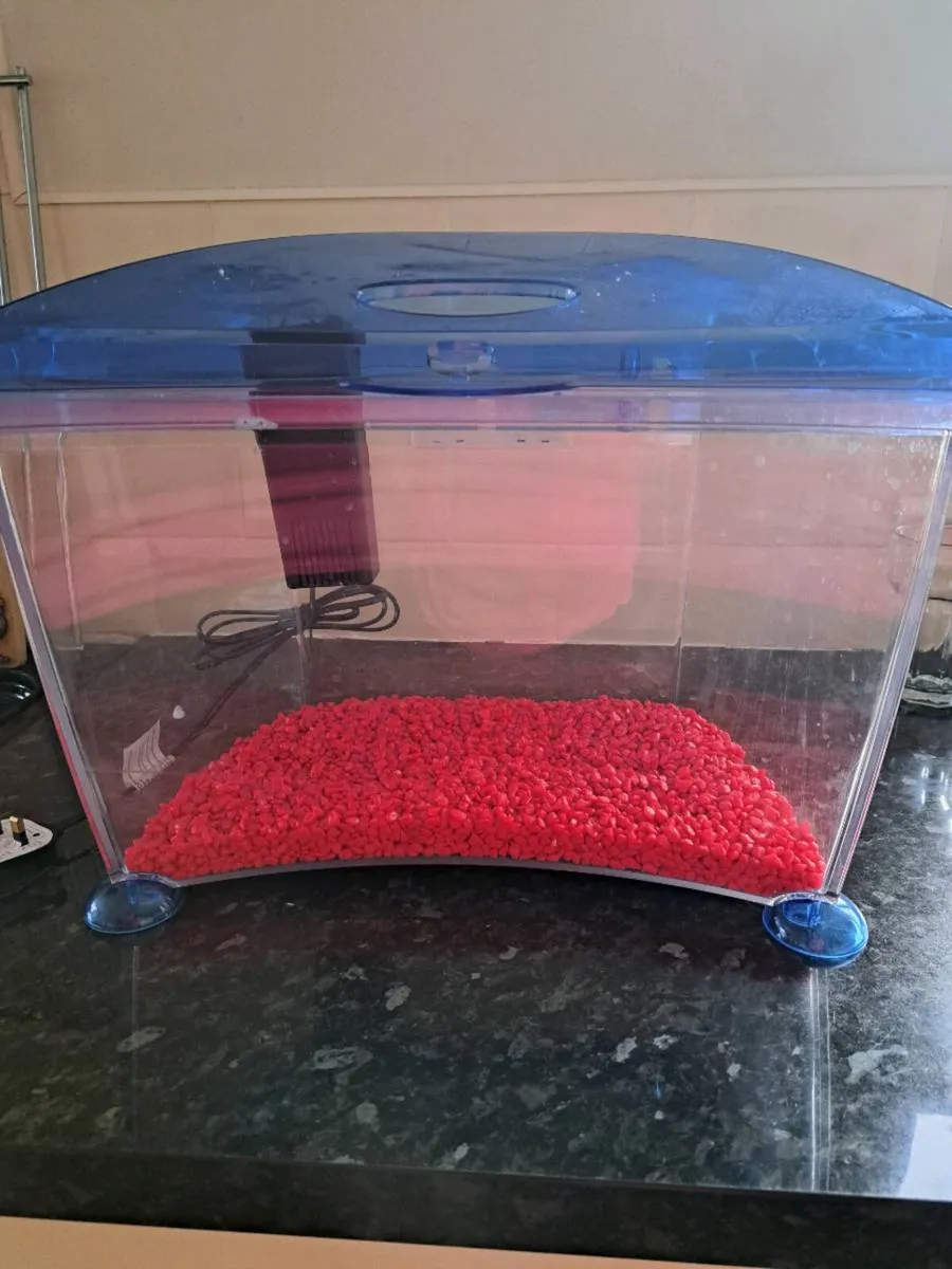 Fish Tank - Image 2