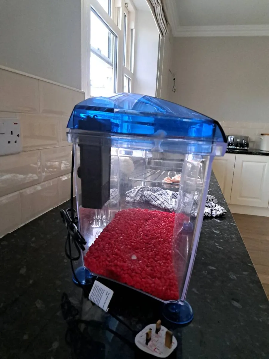 Fish Tank - Image 3