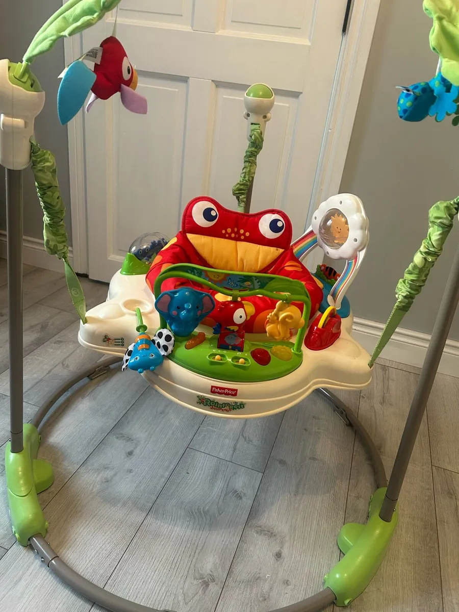 Fisher Price Baby Bouncer - Image 1