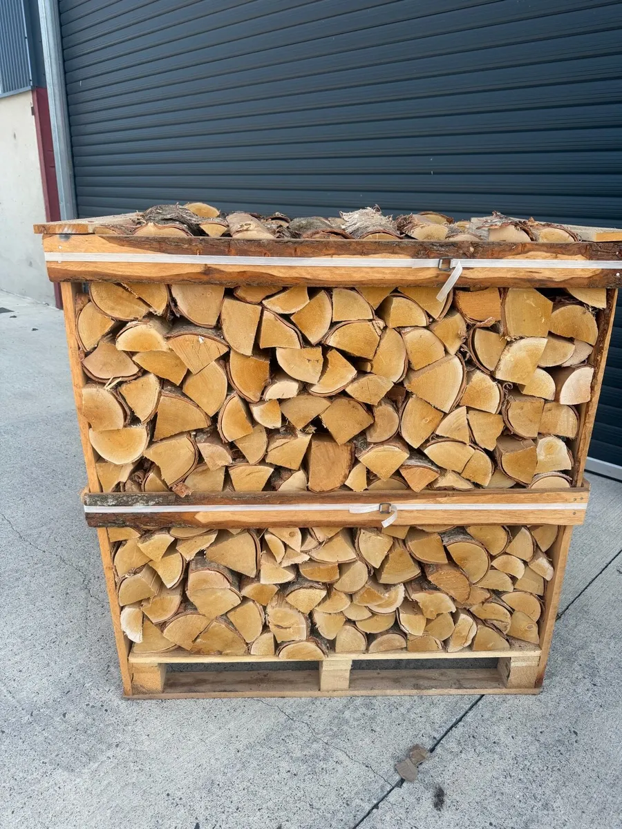 Kiln-dried logs - Image 2