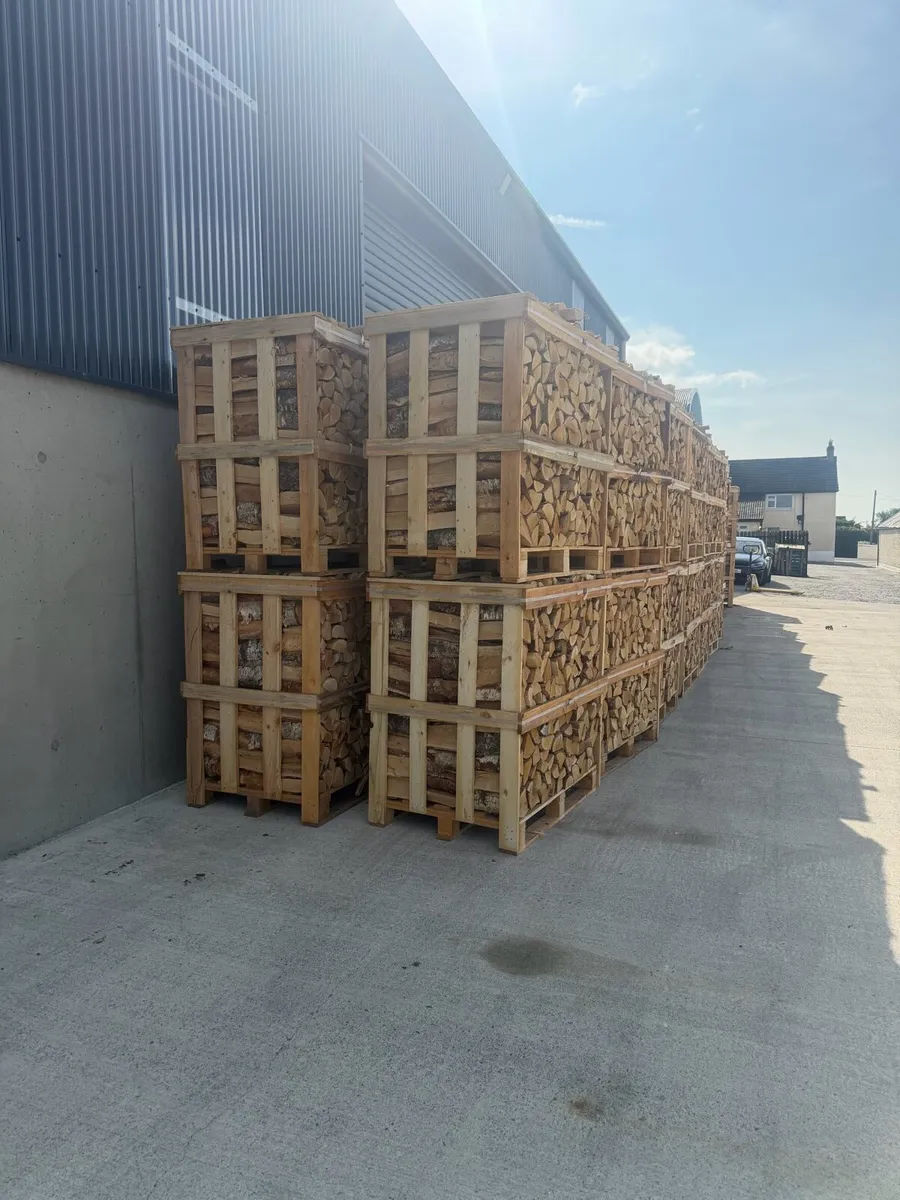 Kiln-dried logs - Image 3