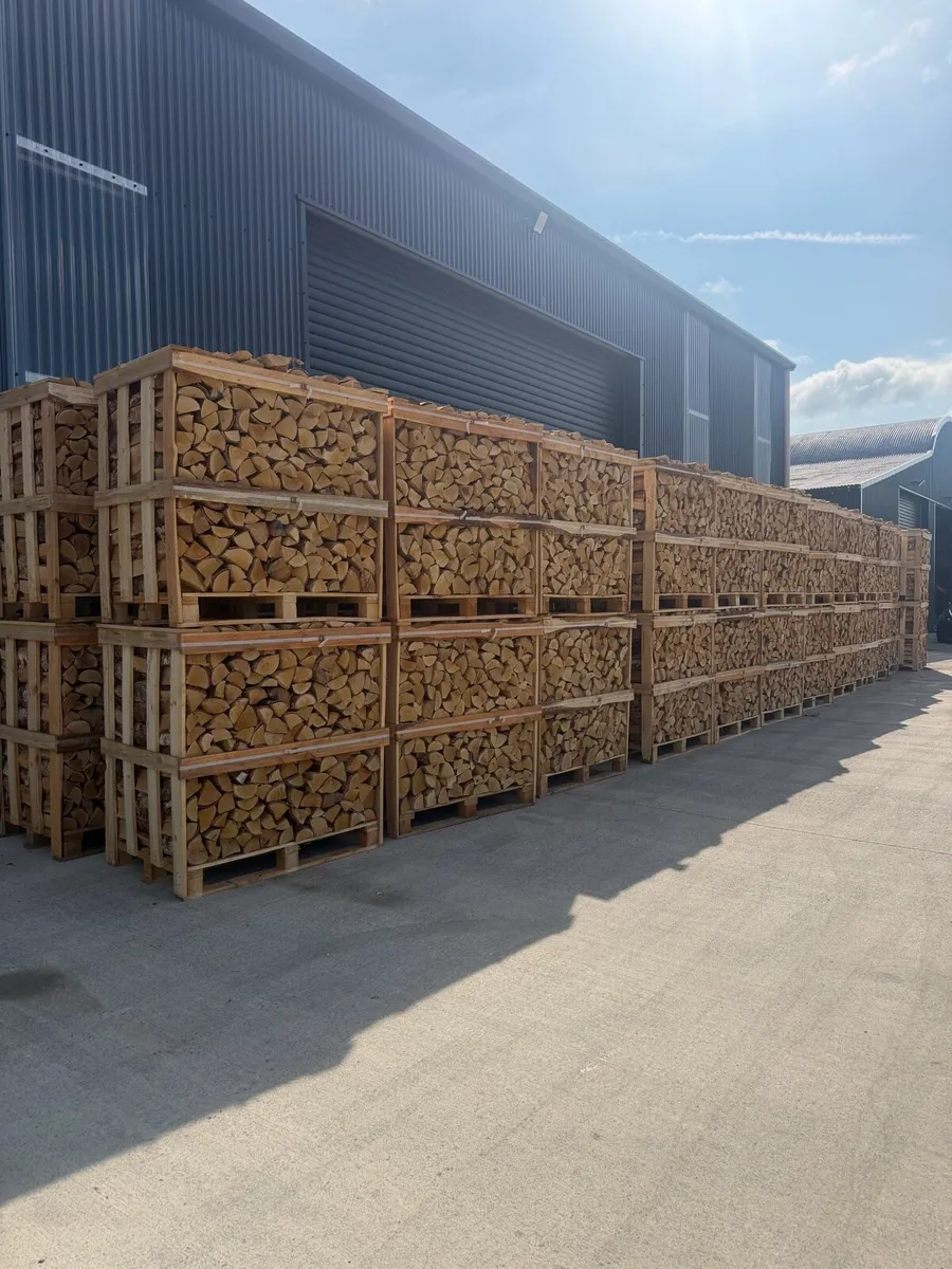 Kiln-dried logs - Image 4