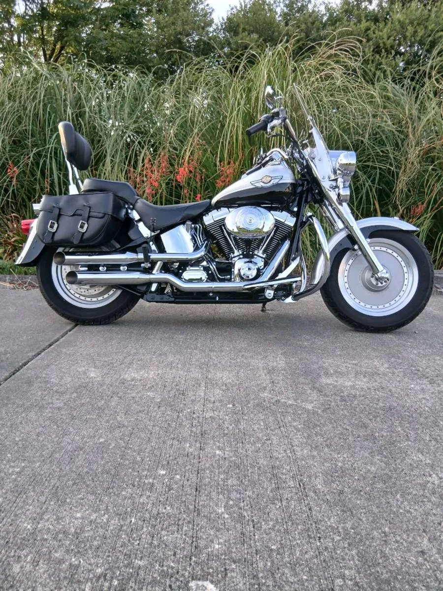 Harley Fatboy Anniversary - Image 1