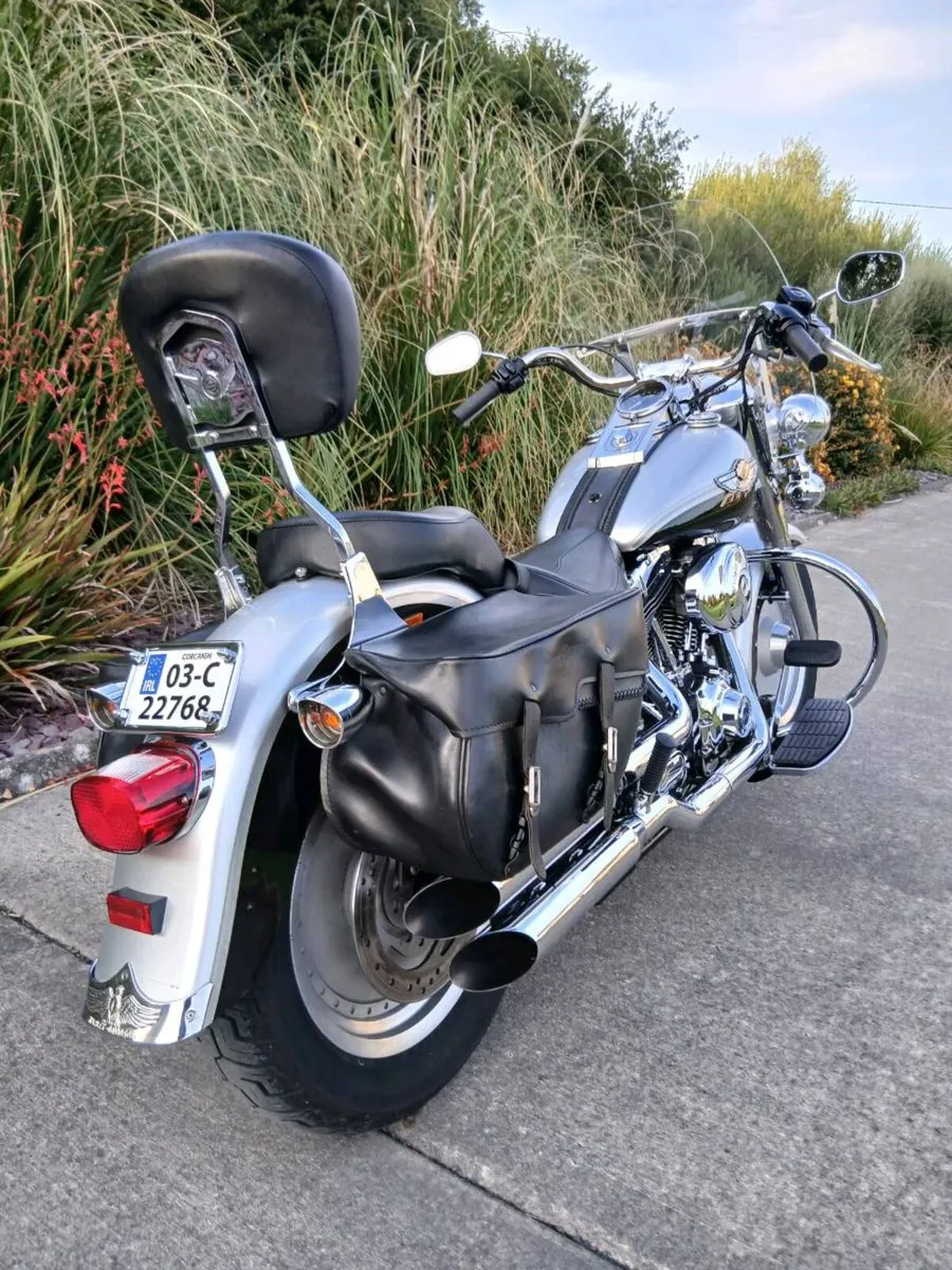 Harley Fatboy Anniversary - Image 4
