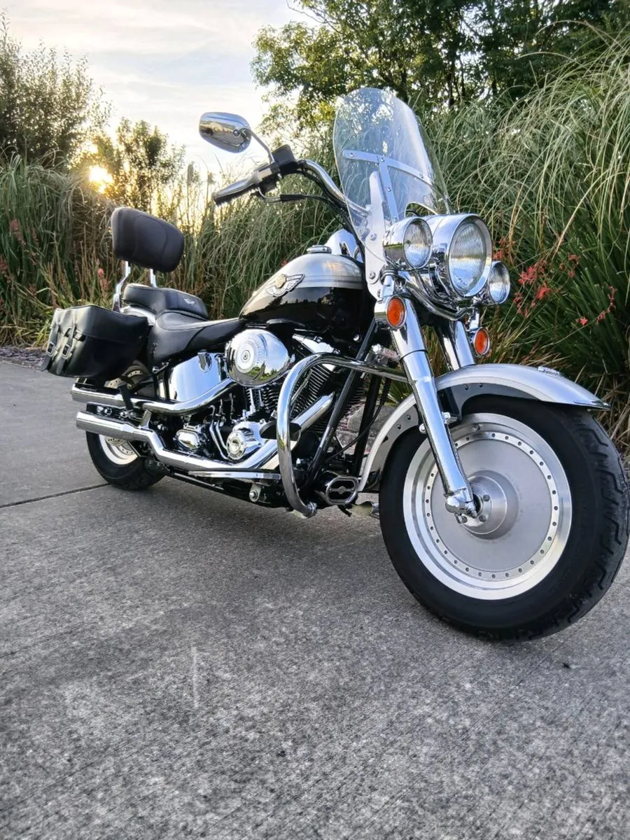 Harley Fatboy Anniversary - Image 2
