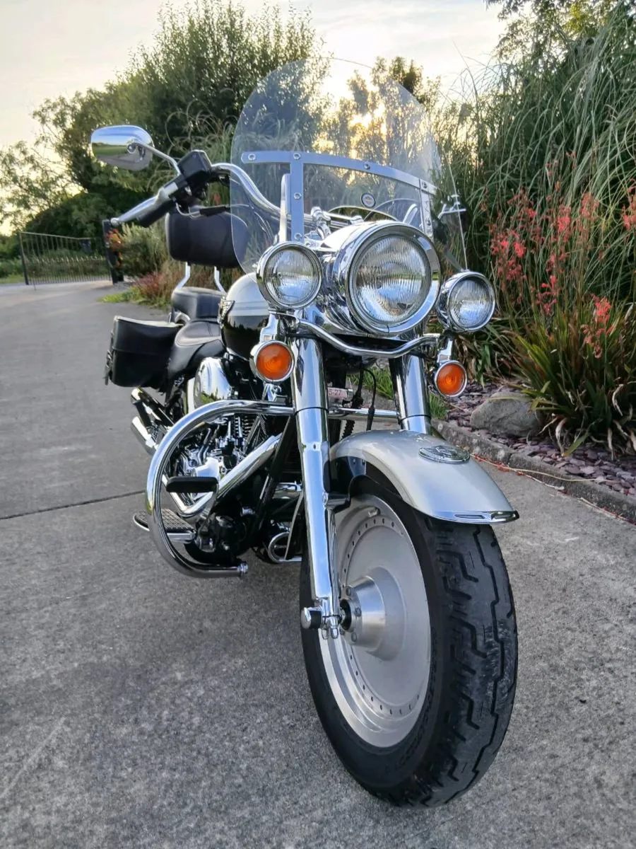 Harley Fatboy Anniversary - Image 3