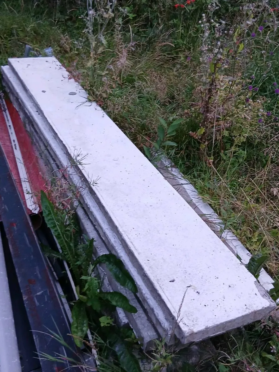 Concrete fence panels
