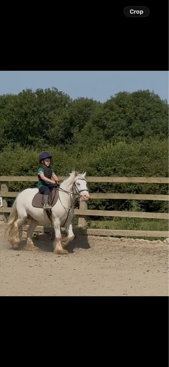 12.2 all rounder - Image 3