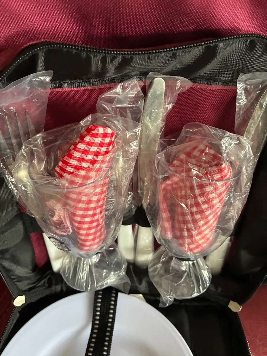 Brand New Picnic Cooker Bag - Image 2