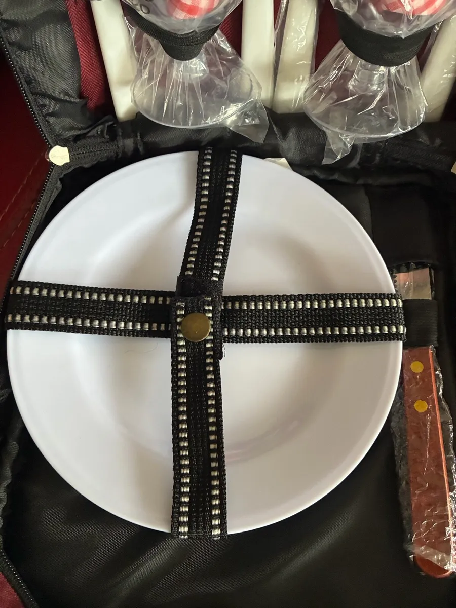 Brand New Picnic Cooker Bag - Image 3