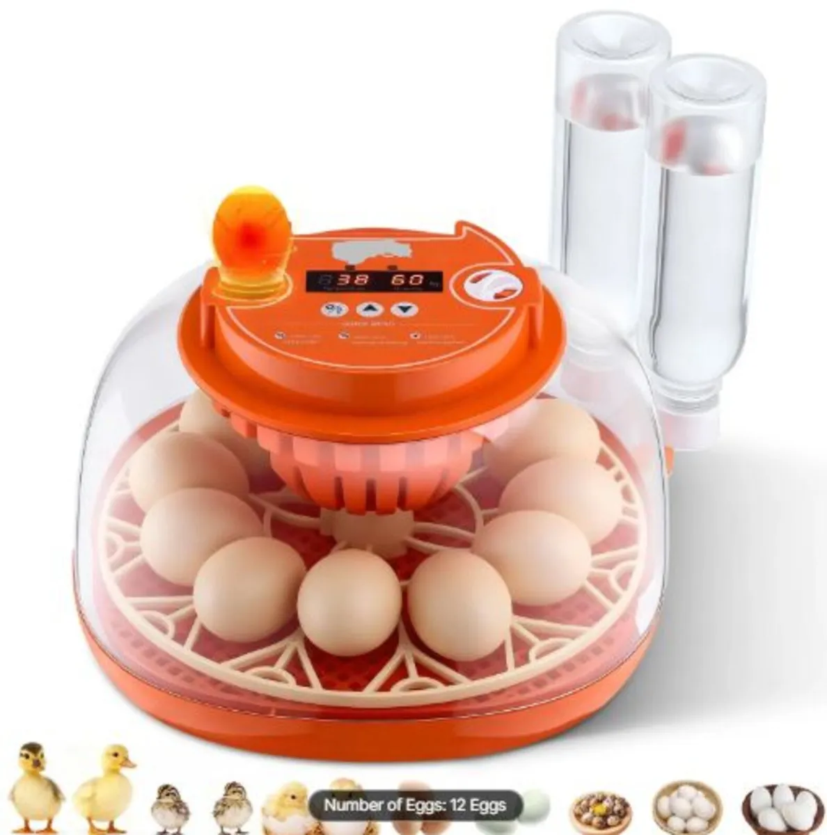 12 Egg Incubator, Automatic Egg Turner with LED - Image 1