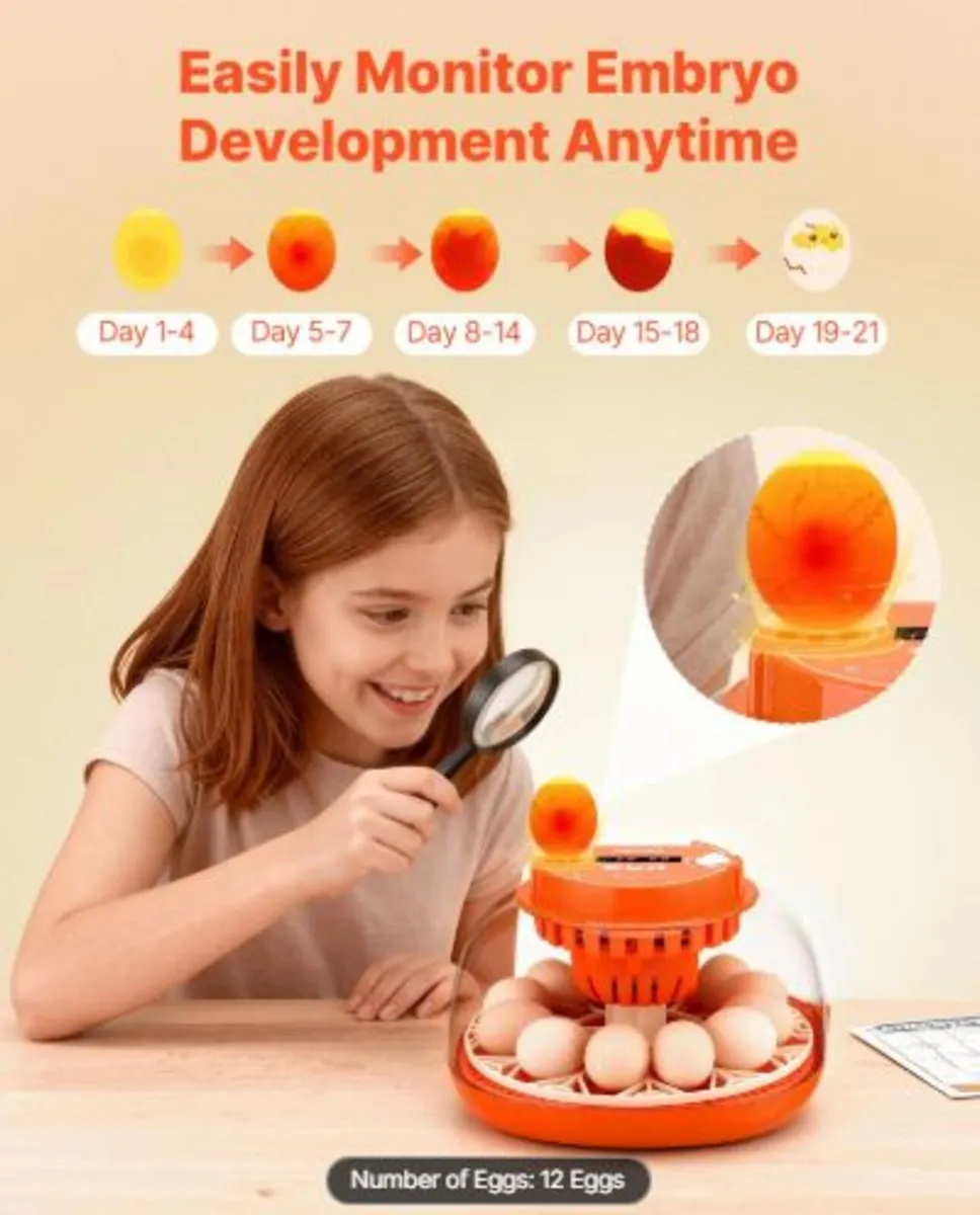 12 Egg Incubator, Automatic Egg Turner with LED - Image 3