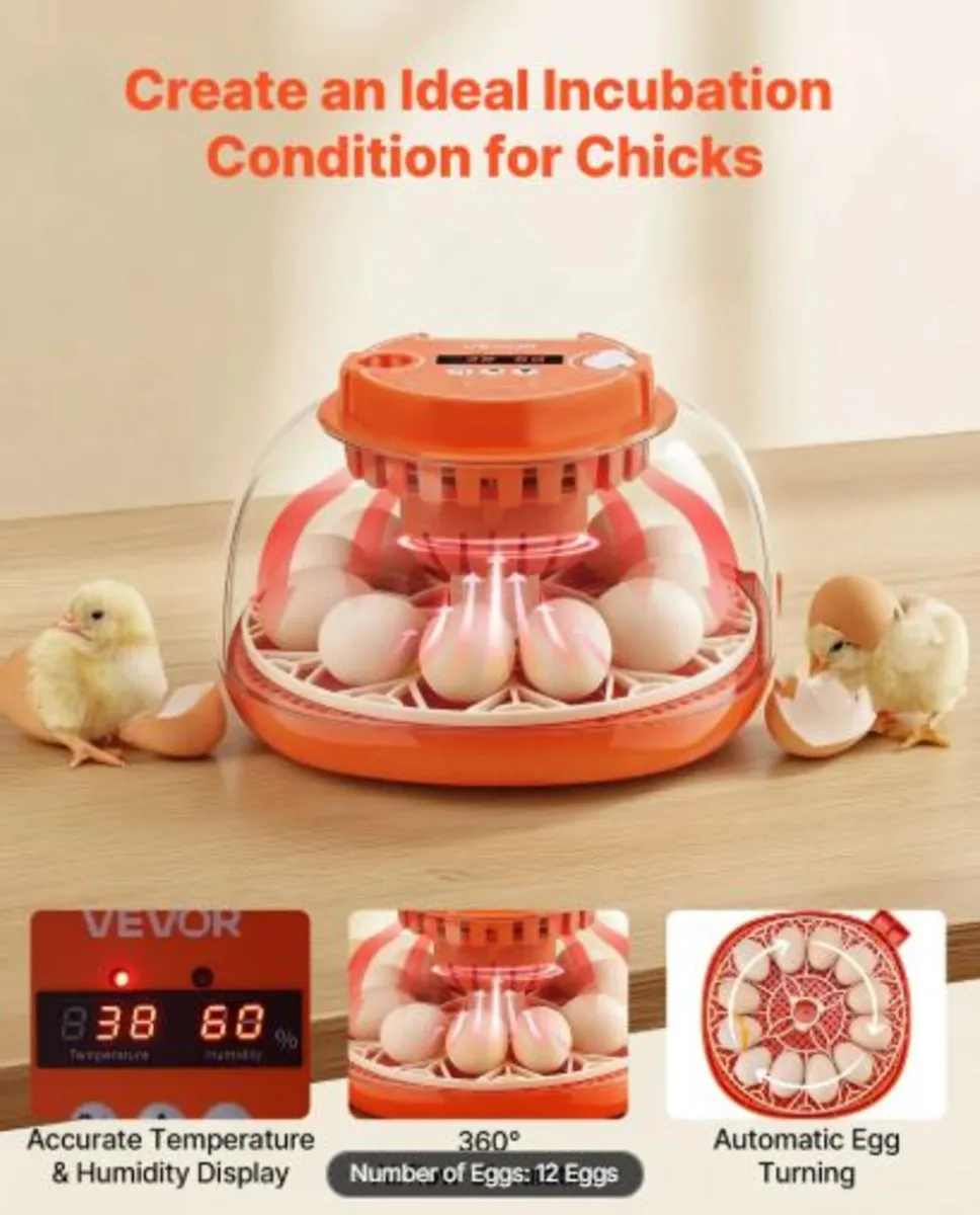 12 Egg Incubator, Automatic Egg Turner with LED - Image 4