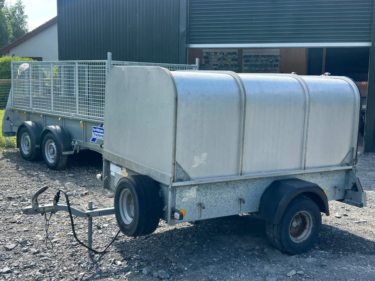 Selection of Ifor Williams Single Axle Trailers - Image 4