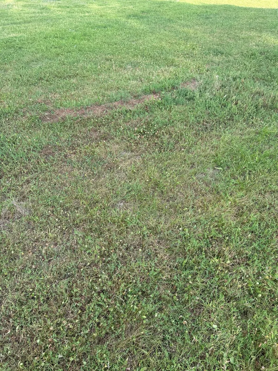 Silage land