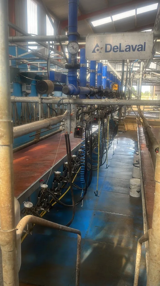 Relief milker wanted