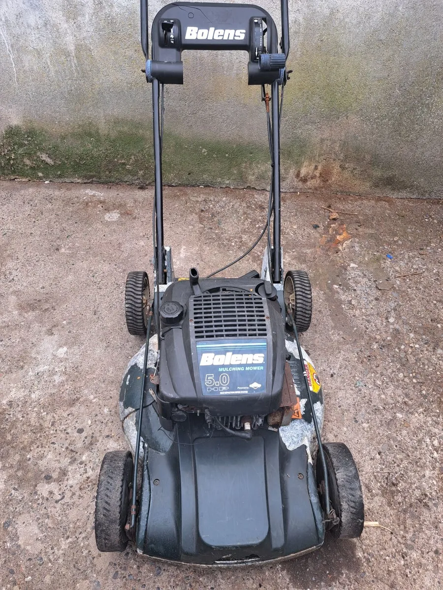 Lawnmower - Image 1