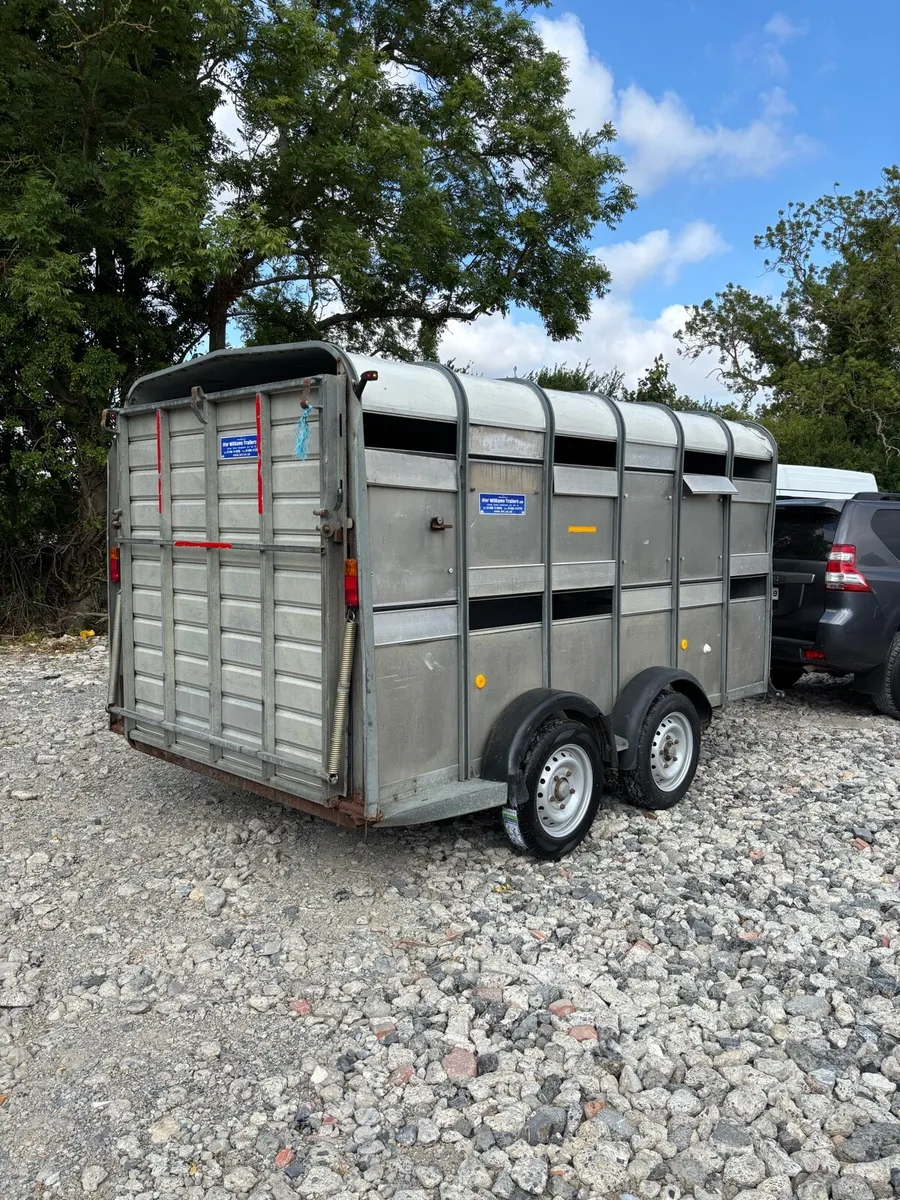 Ifor Williams 12x6 Cattle Trailer - Image 2