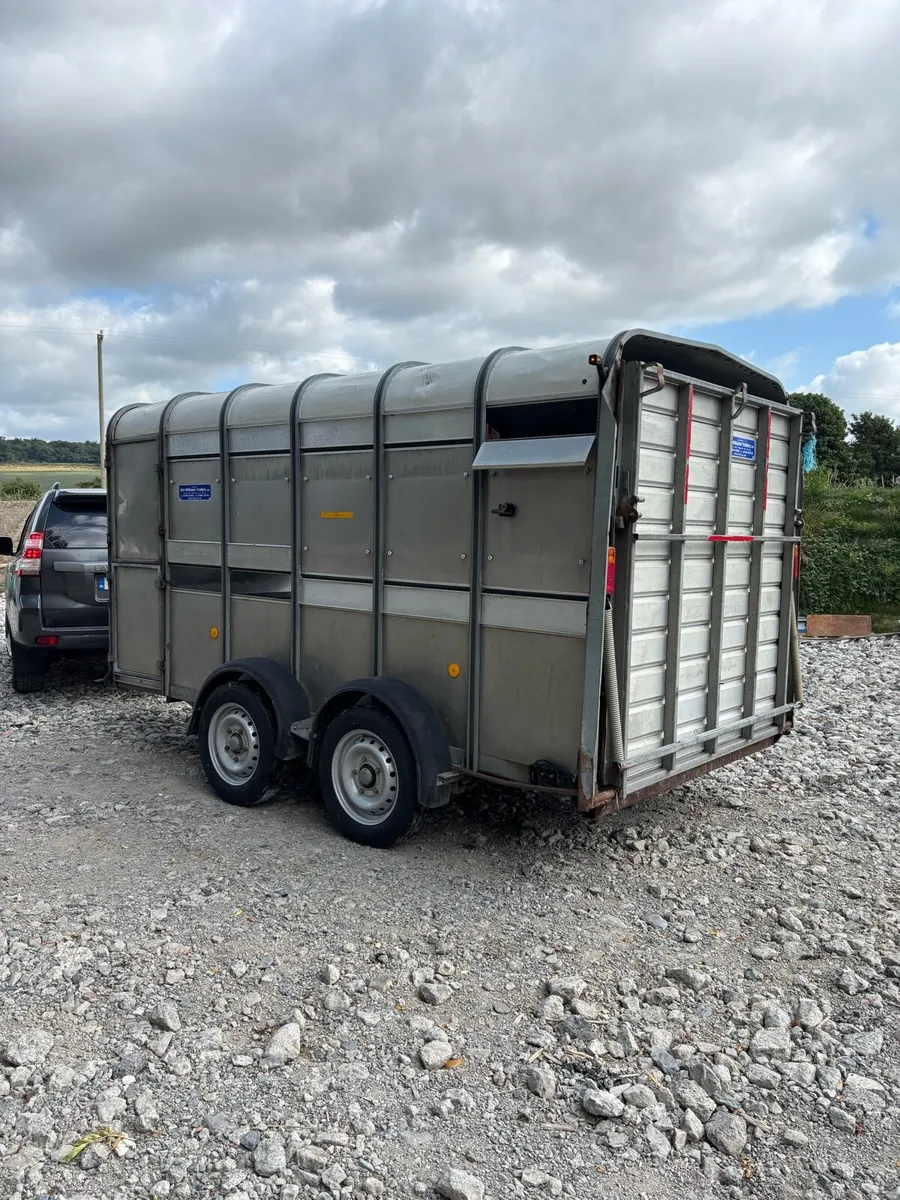Ifor Williams 12x6 Cattle Trailer - Image 3