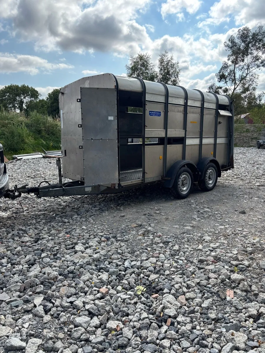 Ifor Williams 12x6 Cattle Trailer - Image 4
