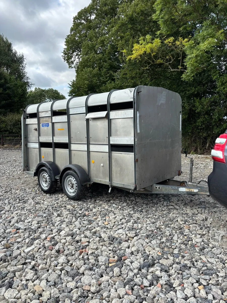 Ifor Williams 12x6 Cattle Trailer - Image 1