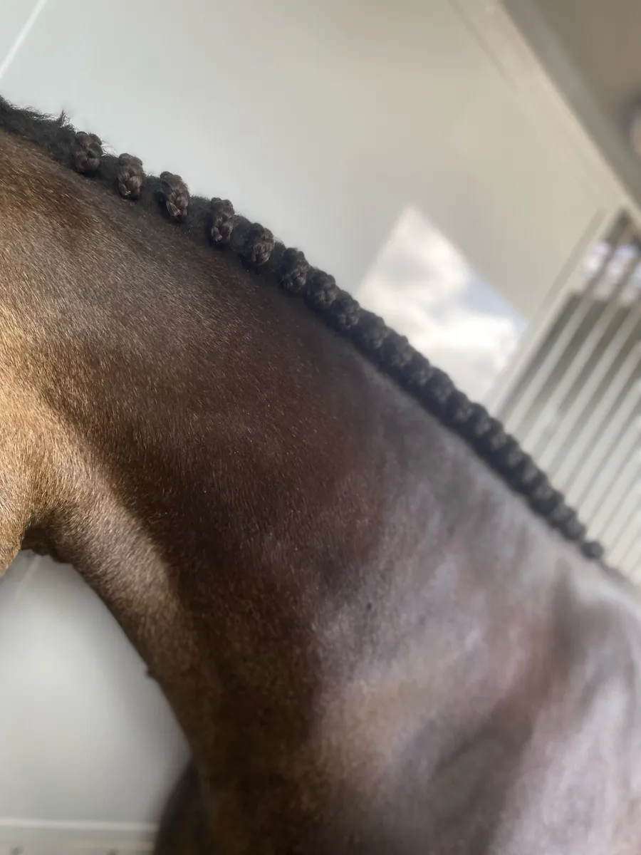 🌟 Plaiting Service Available 🌟 - Image 3