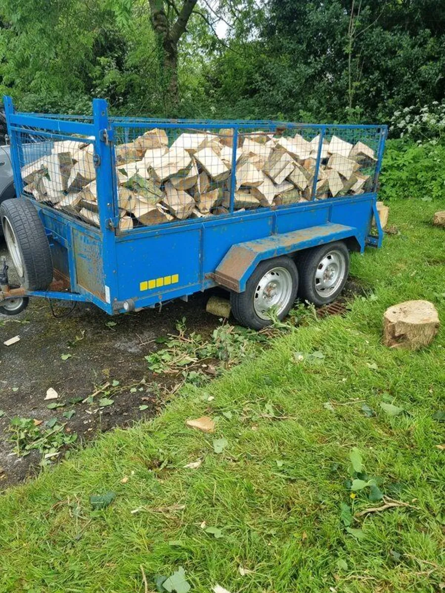 Firewood - Image 1