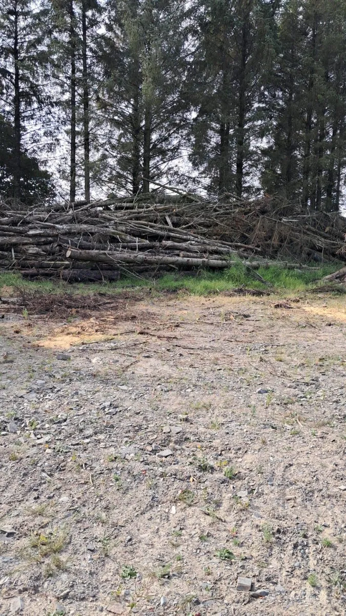 Firewood - Image 4