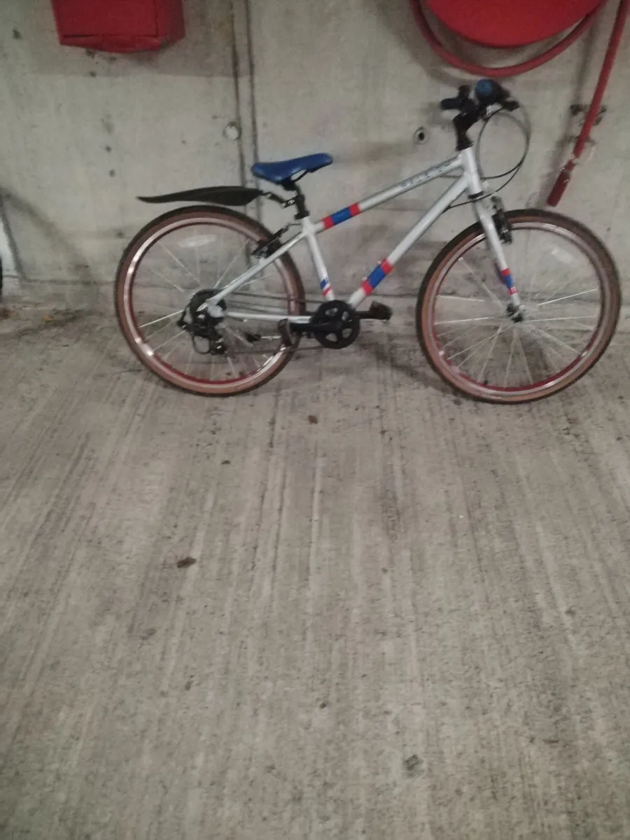 Two kids  Raleigh bikes for sale - Image 2