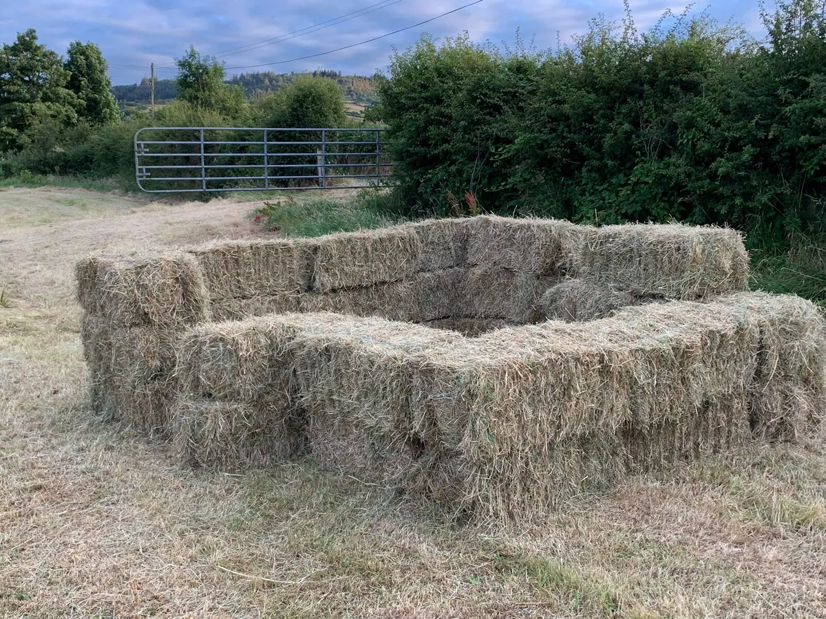 Small bales Hay - Image 2